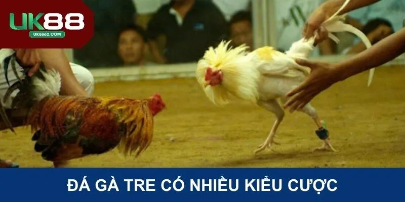 Đá gà tre có nhiều kiểu cược