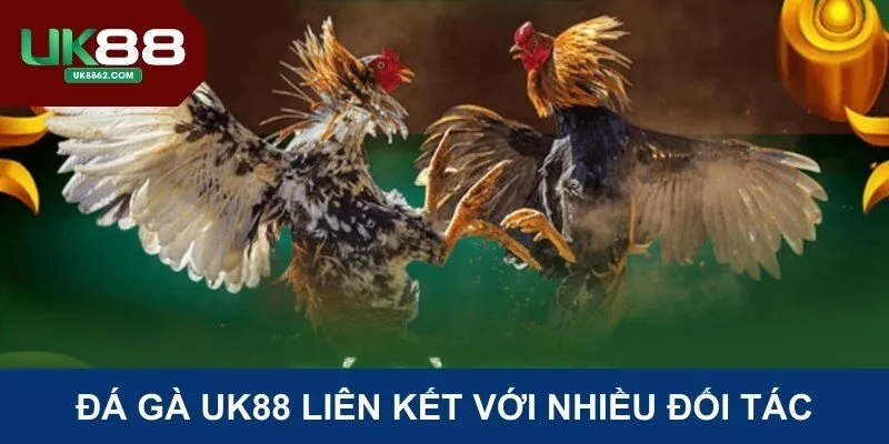 Đá gà Uk88 liên kết với nhiều đối tác