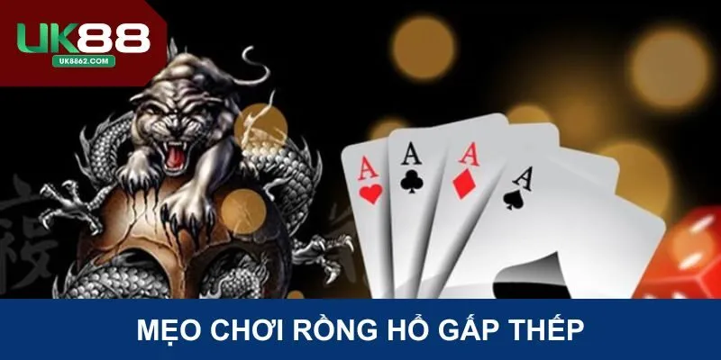 Mẹo chơi rồng hổ cao thủ chia sẻ với thành viên mới